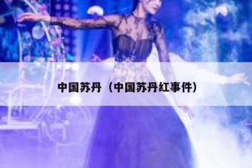 中国苏丹（中国苏丹红事件）