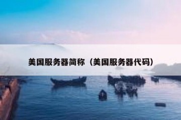 美国服务器简称（美国服务器代码）