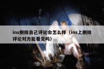 ins删除自己评论会怎么样（ins上删除评论对方能看见吗）