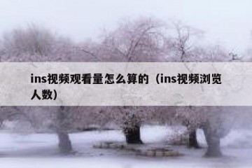ins视频观看量怎么算的（ins视频浏览人数）