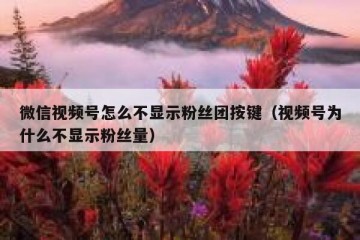 微信视频号怎么不显示粉丝团按键（视频号为什么不显示粉丝量）