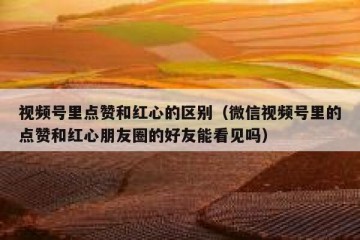 视频号里点赞和红心的区别（微信视频号里的点赞和红心朋友圈的好友能看见吗）