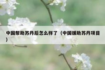 中国帮助苏丹后怎么样了（中国援助苏丹项目）