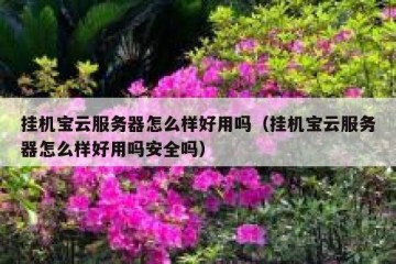 挂机宝云服务器怎么样好用吗（挂机宝云服务器怎么样好用吗安全吗）
