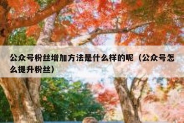 公众号粉丝增加方法是什么样的呢（公众号怎么提升粉丝）
