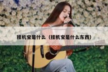 挂机宝是什么（挂机宝是什么东西）