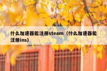什么加速器能注册steam（什么加速器能注册ins）