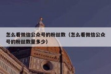 怎么看微信公众号的粉丝数（怎么看微信公众号的粉丝数量多少）