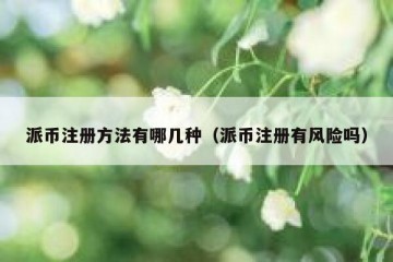 派币注册方法有哪几种（派币注册有风险吗）