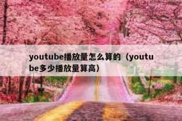 youtube播放量怎么算的（youtube多少播放量算高）