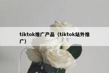 tiktok推广产品（tiktok站外推广）