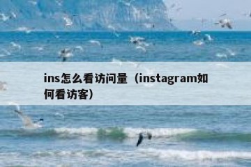 ins怎么看访问量（instagram如何看访客）