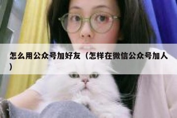 怎么用公众号加好友（怎样在微信公众号加人）
