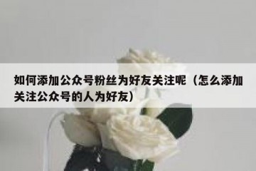 如何添加公众号粉丝为好友关注呢（怎么添加关注公众号的人为好友）