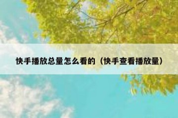 快手播放总量怎么看的（快手查看播放量）