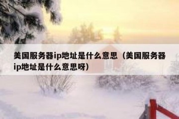 美国服务器ip地址是什么意思（美国服务器ip地址是什么意思呀）