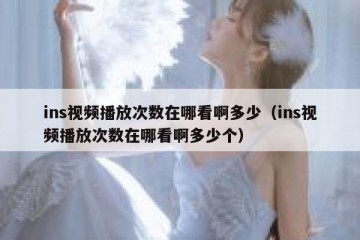 ins视频播放次数在哪看啊多少（ins视频播放次数在哪看啊多少个）