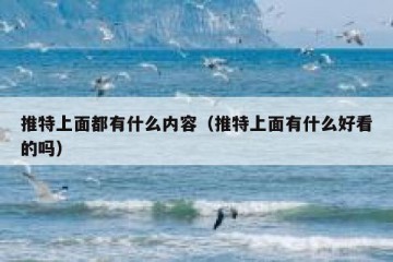 推特上面都有什么内容（推特上面有什么好看的吗）