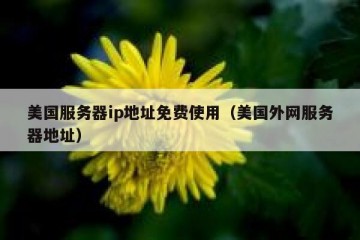 美国服务器ip地址免费使用（美国外网服务器地址）