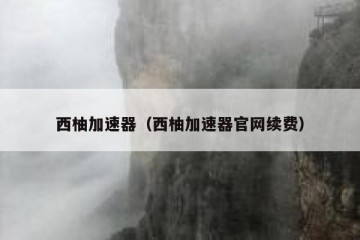 西柚加速器（西柚加速器官网续费）