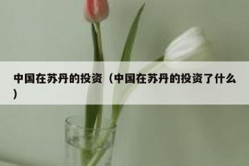 中国在苏丹的投资（中国在苏丹的投资了什么）