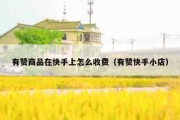 有赞商品在快手上怎么收费（有赞快手小店）