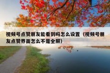 视频号点赞朋友能看到吗怎么设置（视频号朋友点赞界面怎么不是全屏）