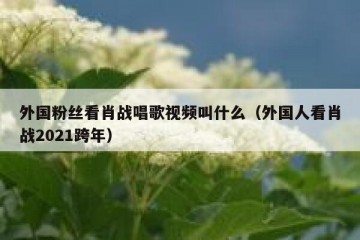 外国粉丝看肖战唱歌视频叫什么（外国人看肖战2021跨年）