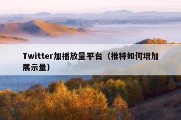 Twitter加播放量平台（推特如何增加展示量）