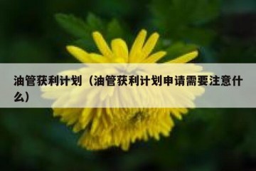 油管获利计划（油管获利计划申请需要注意什么）