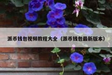 派币钱包视频教程大全（派币钱包最新版本）