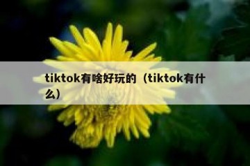 tiktok有啥好玩的（tiktok有什么）
