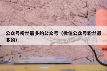 公众号粉丝最多的公众号（微信公众号粉丝最多的）