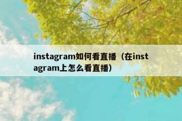 instagram如何看直播（在instagram上怎么看直播）