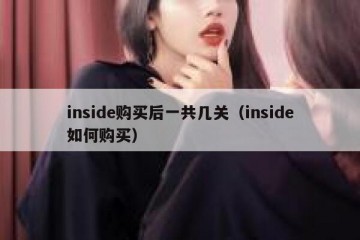 inside购买后一共几关（inside如何购买）