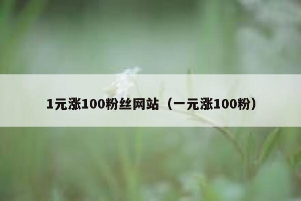 1元涨100粉丝网站（一元涨100粉） 第1张