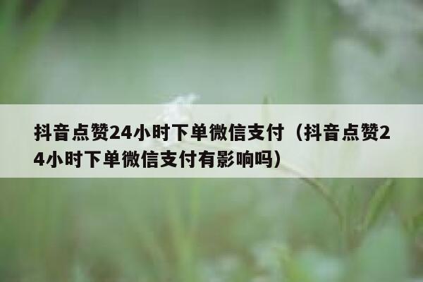 抖音点赞24小时下单微信支付（抖音点赞24小时下单微信支付有影响吗） 第1张