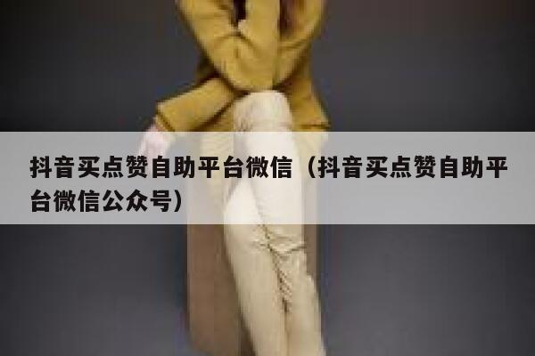 抖音买点赞自助平台微信（抖音买点赞自助平台微信公众号） 第1张