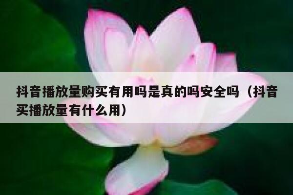 抖音播放量购买有用吗是真的吗安全吗（抖音买播放量有什么用） 第1张