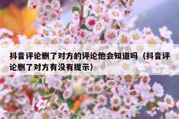 抖音评论删了对方的评论他会知道吗（抖音评论删了对方有没有提示） 第1张