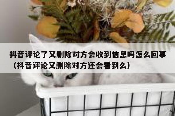 抖音评论了又删除对方会收到信息吗怎么回事（抖音评论又删除对方还会看到么） 第1张