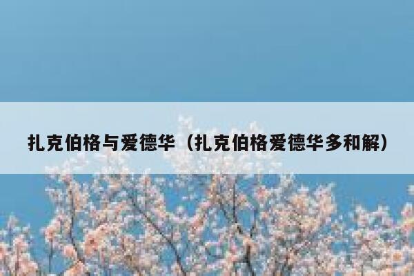 扎克伯格与爱德华（扎克伯格爱德华多和解） 第1张
