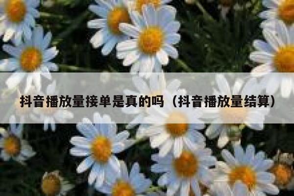 抖音播放量接单是真的吗（抖音播放量结算） 第1张