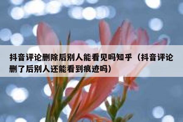 抖音评论删除后别人能看见吗知乎（抖音评论删了后别人还能看到痕迹吗） 第1张