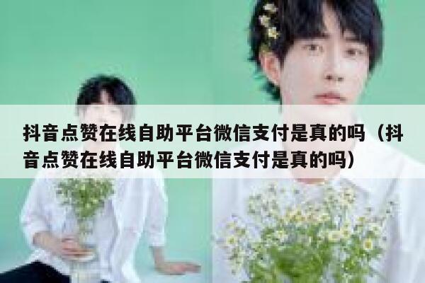 抖音点赞在线自助平台微信支付是真的吗（抖音点赞在线自助平台微信支付是真的吗） 第1张
