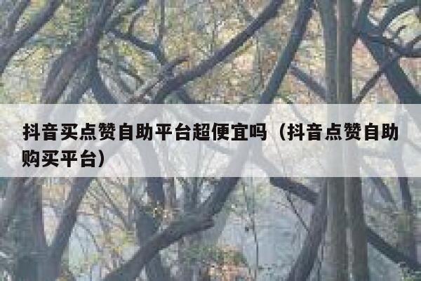 抖音买点赞自助平台超便宜吗（抖音点赞自助购买平台） 第1张