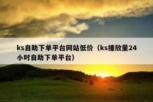 ks自助下单平台网站低价（ks播放量24小时自助下单平台） 第1张
