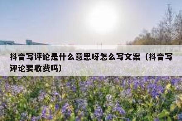 抖音写评论是什么意思呀怎么写文案（抖音写评论要收费吗） 第1张