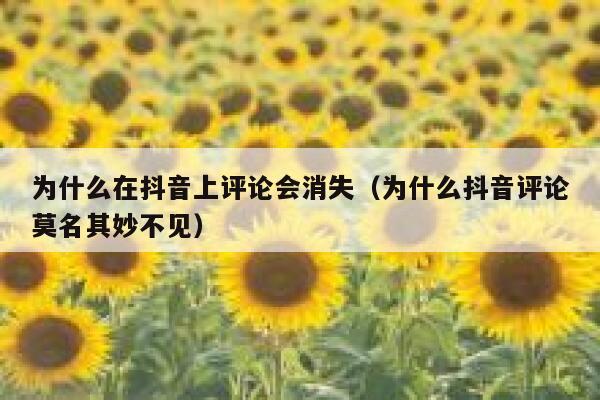 为什么在抖音上评论会消失（为什么抖音评论莫名其妙不见） 第1张
