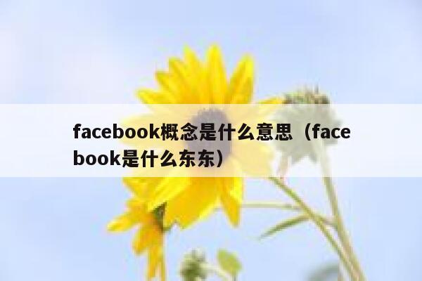 facebook概念是什么意思(facebook是什么东东) 第1张 facebook概念是什么意思(facebook是什么东东) 第1张